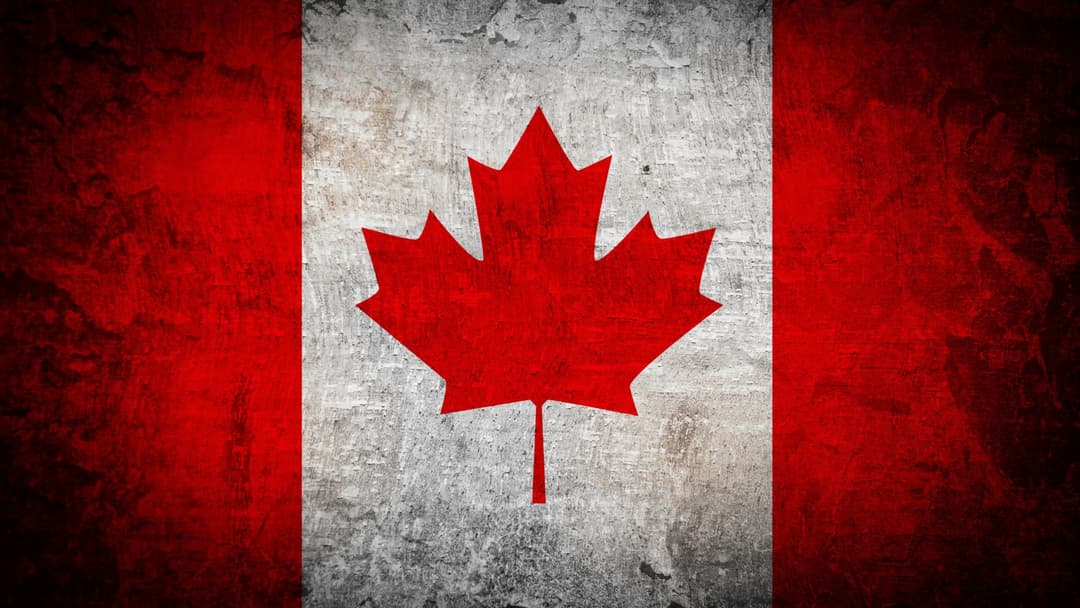 Cover Image for Does the Canada Digital Adoption Program (CDAP) need a revamp? A Desire for More Inclusion.
